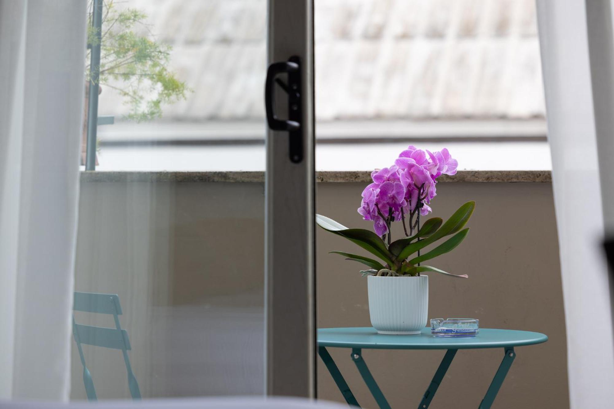 Hotel Zaccardi Roof Garden Rzym Zewnętrze zdjęcie