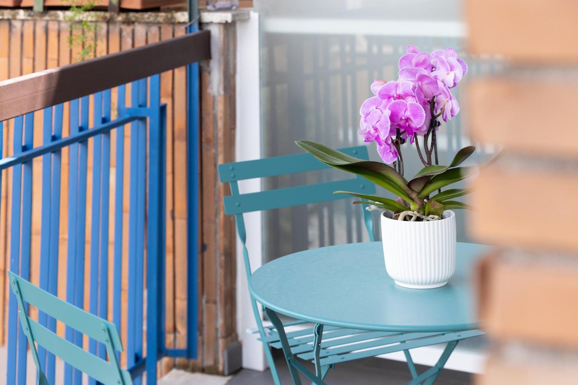 Hotel Zaccardi Roof Garden Rzym Zewnętrze zdjęcie